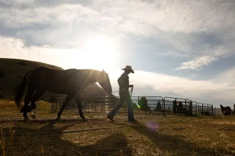 Get to Know the American Female Ranchers Transforming Contemporary Ranching